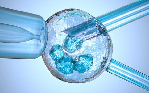 南昌试管供卵 2023南昌市生殖医院做试管婴儿需要多少钱？附试管生男孩费用一览 ‘nt平平的就是女儿吗’