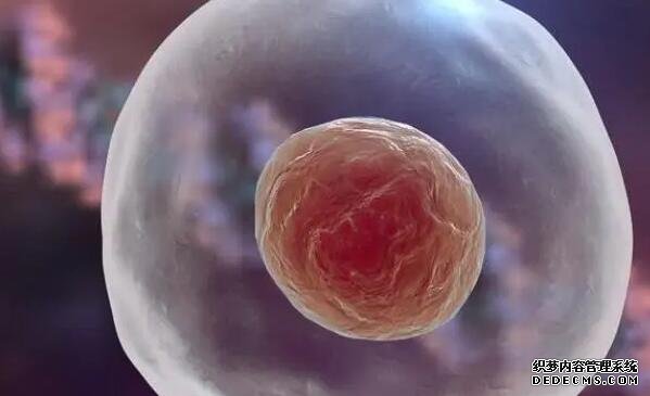 南昌借卵试管资讯 2022南昌市生殖医院试管生男孩费用一览 ‘酒精验男女准吗?’