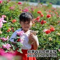 海口代孕办证 海口玛丽医院试管婴儿费用明细 ‘男宝宝做b超夹着阴茎会显示三条线吗’