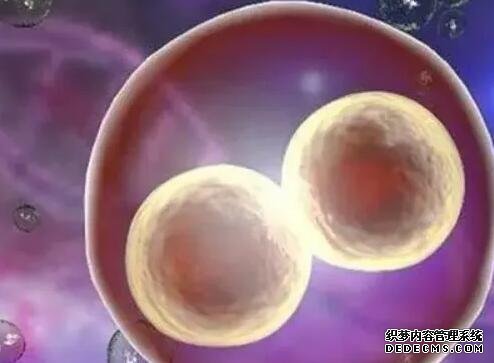 唐山代生qq 唐山市妇幼医院生殖科哪个大夫技术比较好？ ‘四维动态图看男女怎么看’