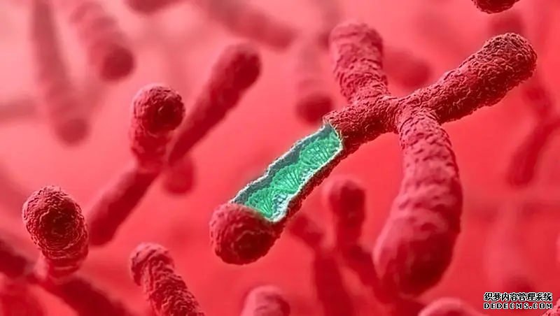 详解人工周期移植技术,一种全新的辅助生殖技术