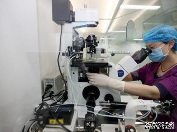 温州哪个医院可以借卵 2022温州做供卵试管医院排名已更新 ‘b超单哪里能看出是男是女’