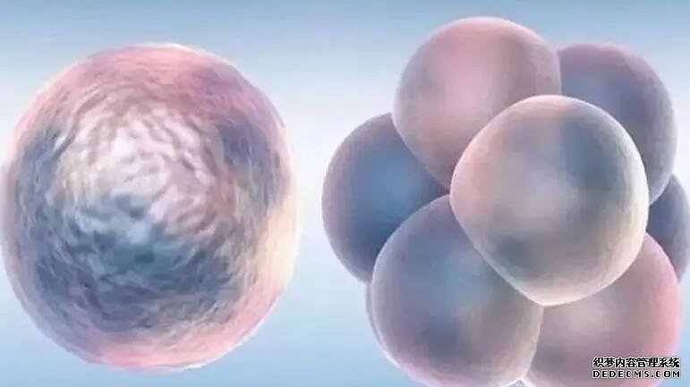 苏州代孕扣扣 苏州三代试管婴儿哪里可以做? ‘3个多月彩超怎么区别男孩女孩’