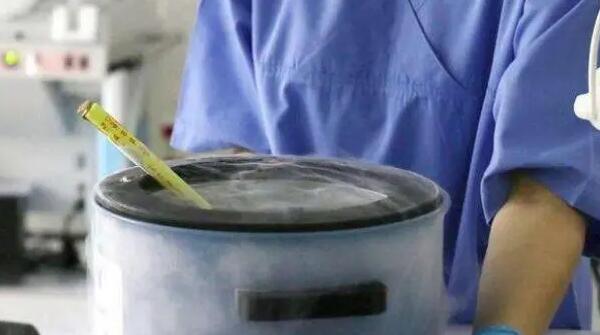 试管婴儿胚胎移植能看出男女吗