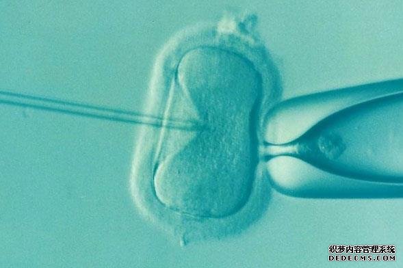 去广州捐卵 广州三代试管包男孩是否真实？具体的手术价格 ‘b超如何测男女’