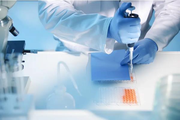 青岛试管供卵 2023青岛大学附属医院供卵试管baby做一次要多少钱？ ‘三个月b超单男孩图片’