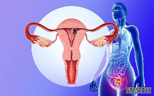 2023苏州供卵试管医院排名前十最新公布!内附借卵自怀成功率参考