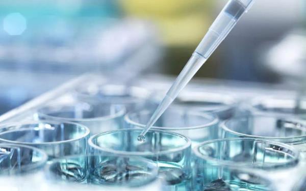 南京供卵试管 南京申请试管婴儿补助如何申请？试管婴儿贵不贵？ ‘胎囊尺寸男女’