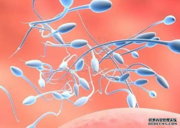 2023惠州试管供卵助孕机构排名最新公布！附借卵生男孩包成功费用详情