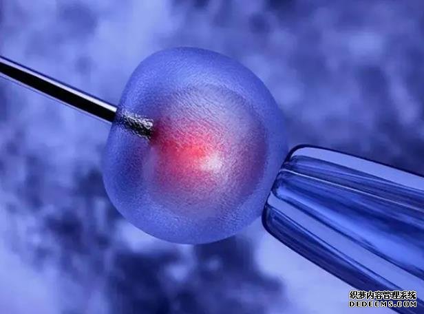 青岛供卵价格多少合适 染色体异常难代孕,青岛试管接好孕 ‘4.2/4.1/3.3孕囊可以看出是女孩男孩吗’