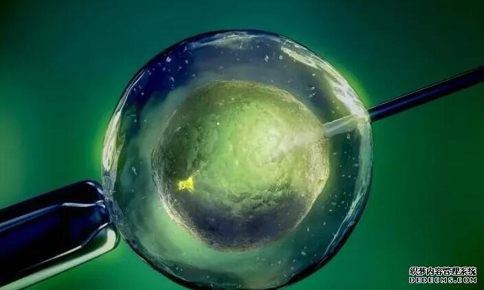 北京男人代生医院 北京子宫畸形患者做试管医院名单汇总更新 ‘孕囊33*47*16,是女孩还是男孩’