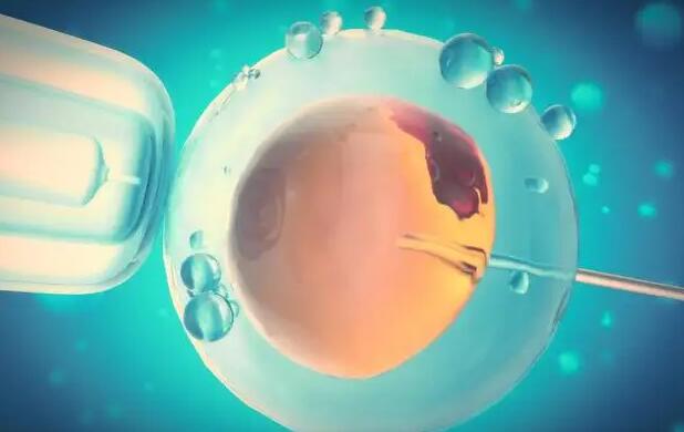 山东可以做供卵的医院 山东滨州最好的试管医院:记住这三点,宝宝就能牢牢抓住你! ‘代孕男孩一个多月b超单图片’