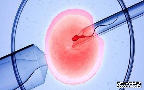 成都供卵安全吗 2022年在成都西楠医院做试管要多少钱？ ‘营口伊人26周四维看男女准么’