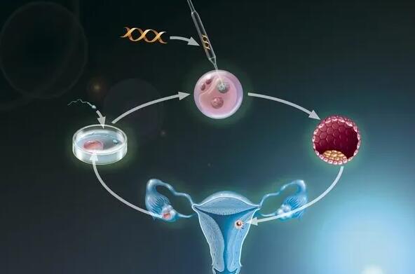 大同供卵试管 大同哪个医院可以做人工受孕？做人工受孕要知道哪些事儿？ ‘彩超男宝一般都是腿叉开吗’