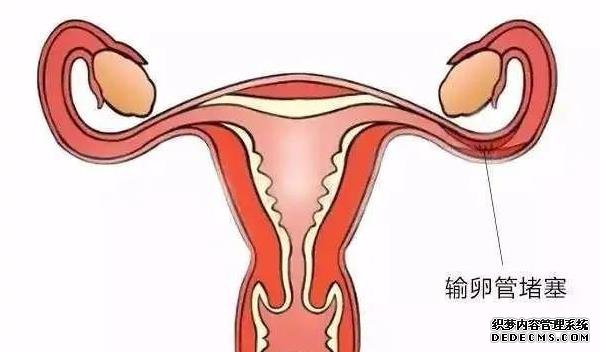 上海私人代怀试管医院 上海正规不孕不育专科医院排名 ‘胚芽和孕囊多少是男孩’