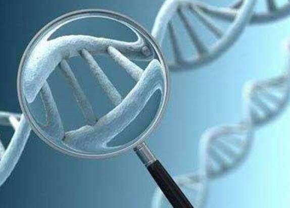 试管婴儿多少钱可以做?试管多少钱可以成功怀孕?