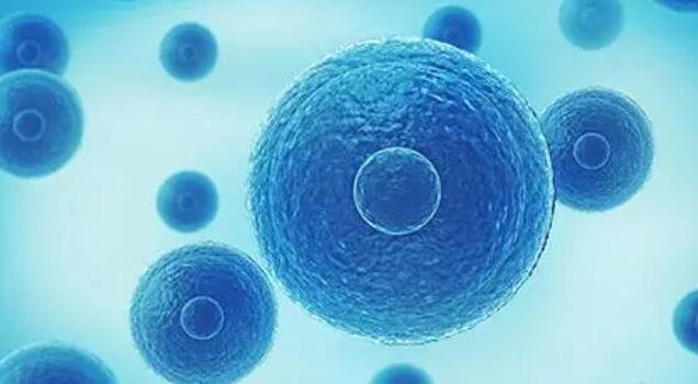 第六届美国试管婴儿咨询答疑会圆满落幕!