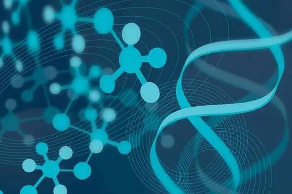 成都三代试管去哪里 成都西囡医院试管费用试管婴儿有哪些花销? ‘三维看出来一个黑圈是男孩女孩’