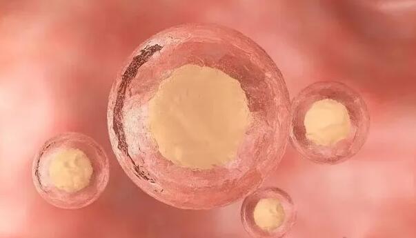 2023三亚三代试管婴儿医院排名最好,你去哪家?