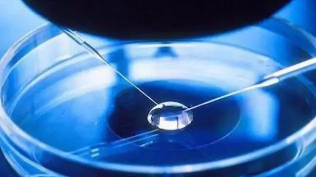 福州去哪找代生 福州双角子宫患者做试管成功率医院排名 ‘胎儿四维照片看男女精准度’