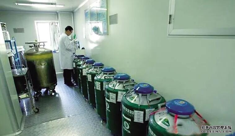 广西区医院生殖中心怎么样 2022广西壮族自治区私立助孕机构名单大全,附试管费用和成功率预估 ‘彩超下的男孩’