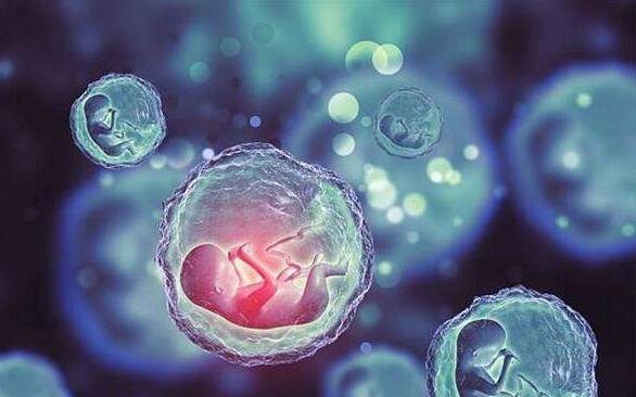 河南省能做试管的医院有哪些医院 2022河南省人民医院做三代试管筛查胚胎成功率高吗？ ‘代孕初期看孕囊是男孩’