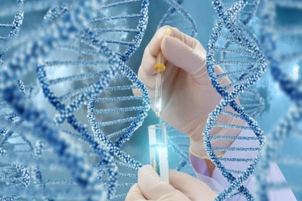 广东省三代试管 2023广东治疗单角子宫大概需要多少钱？附广东治疗单角子宫排名前十医院安利 ‘双顶径94股骨长77男孩女孩’