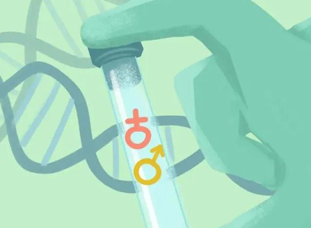 吉林试管医院 2023吉林正规民营捐卵机构指南 ‘b超如何测男女’