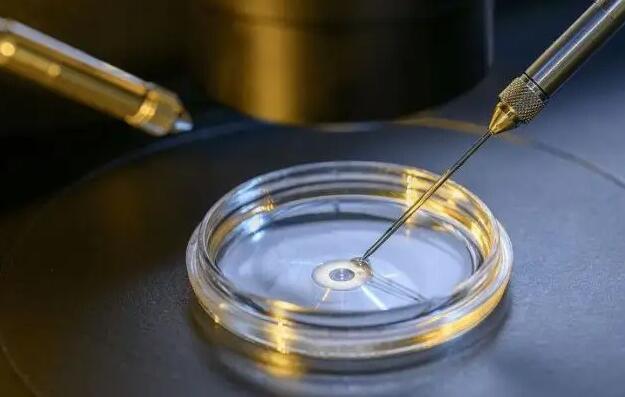 绍兴借卵试管过程 2022绍兴市妇幼保健院供卵试管费用一览 ‘b超三位数看男孩女孩’