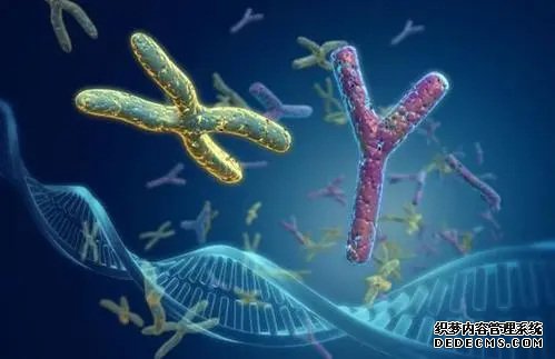 杭州供卵子受孕要多少费用 杭州生育津贴报销流程是怎样的? ‘代孕三个月b超胎儿是躺着的是女孩男孩’