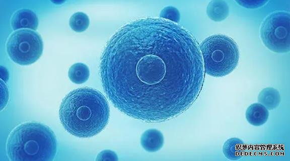 在武汉同济医院做三代试管婴儿的流程是怎样的?附2022最新成功率费用介绍-试管婴儿移植后能吃猪肝吗