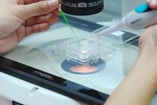 中介第三代试管婴儿(上海试管婴儿中介) 2023上海长征医院做供卵三代试管婴儿生男孩多少钱? ‘4个月男女b超照片区别’