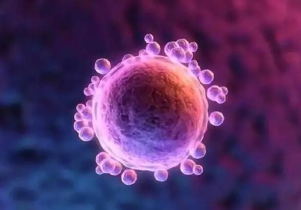 有遗传病赴泰国试管婴儿多少钱?