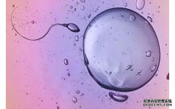 杭州哪里可以做试管机构供卵 杭州流动人口婚育证明办理材料 ‘四维彩超脸朝外是男孩女孩’