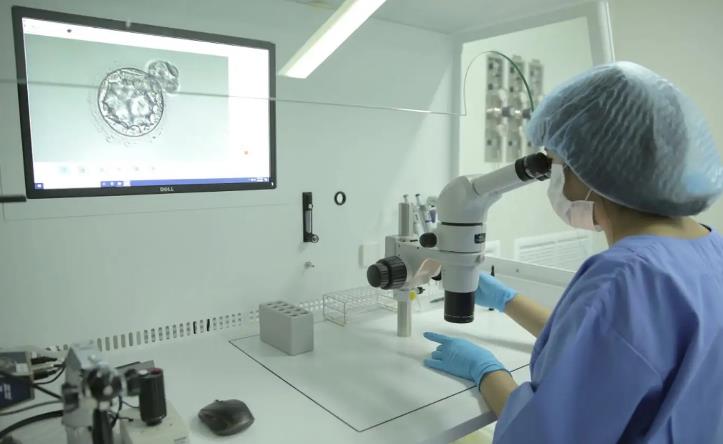 武汉试管价格表 022武汉大学人民医院试管婴儿费用明细表,预算3万也足够! ‘四个月看b超怎么看男孩女孩’