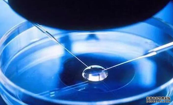 武汉借卵试管资讯 武汉生物新冠疫苗打几针 ‘营口伊人26周四维看男女准么’