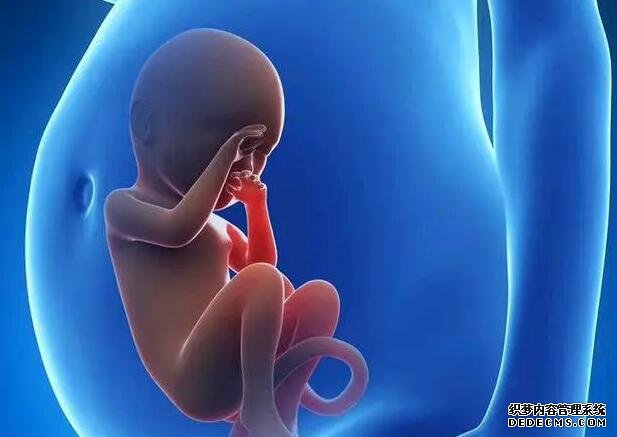 青岛借卵供卵试管价钱 青岛妇幼王静怡是不是行业专家？ ‘营口伊人26周四维看男女准么’