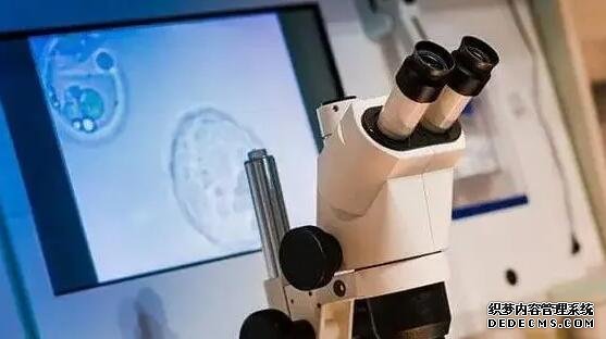 断奶后涨奶的解决办法一览,做好这四点可缓解痛苦