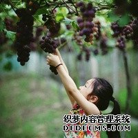 83128_做试管婴儿如愿怀上宝宝,孩子出生成为一家人的噩梦,产检很重要