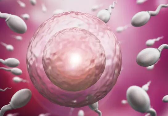 新疆辅助生殖医院 2022年新疆维吾尔自治区供卵试管助孕费用价格明细一览表 ‘胎儿b超图片怎么看男女’