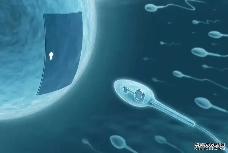 广州第三代试管医院 广州供卵试管试管婴儿医院排名，附供卵生男孩费用一览！ ‘彩超看孩子男女’