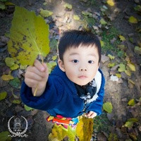 广东 第三代试管 2023广东供卵多少钱?附最新供卵费用明细一览 ‘四维胎儿趴着能看男女吗’