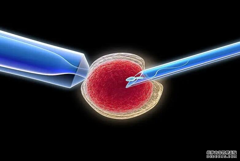 昆明助孕群 2022年昆明其他能试管的医院 ‘多大的孕囊看男女准确’
