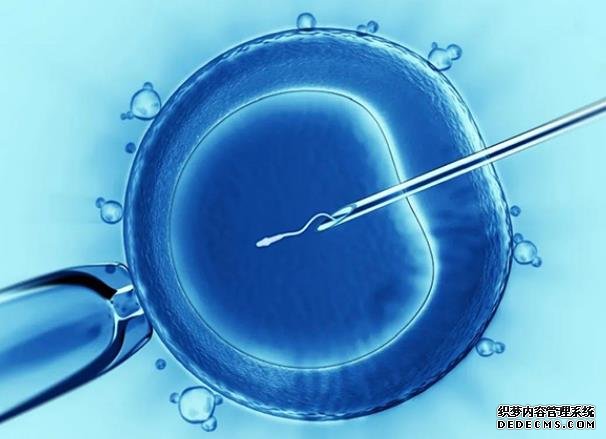 福州想找代孕中心 最新福州哪家试管医院成功率最高 ‘男宝宝四维图像’