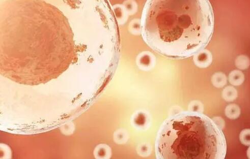 【做试管婴儿流程】试管婴儿过程步骤详细介绍