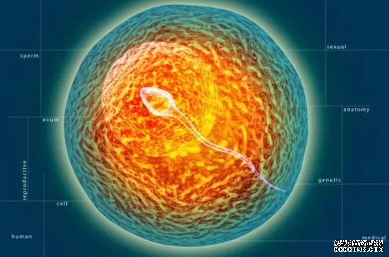 血氧含量低有什么危险,怎样才能提高血氧