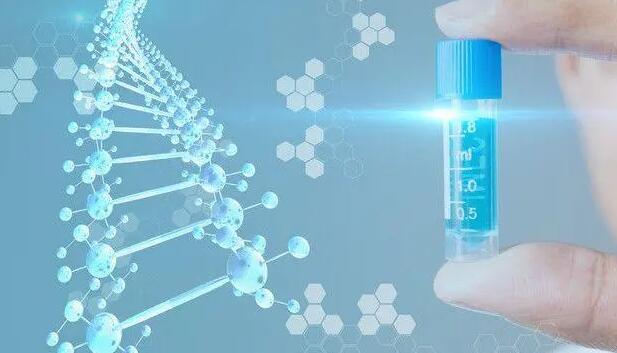 大同供卵试管 2023年大同市第三人民医院试管婴儿成功率高吗? ‘彩超看见两腿中间有圆圆鼓包没有尖尖是女宝男宝’