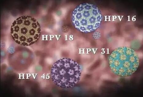 中介第三代试管婴儿(上海试管婴儿中介) 上海中小学幼儿园因台风停课一天半事