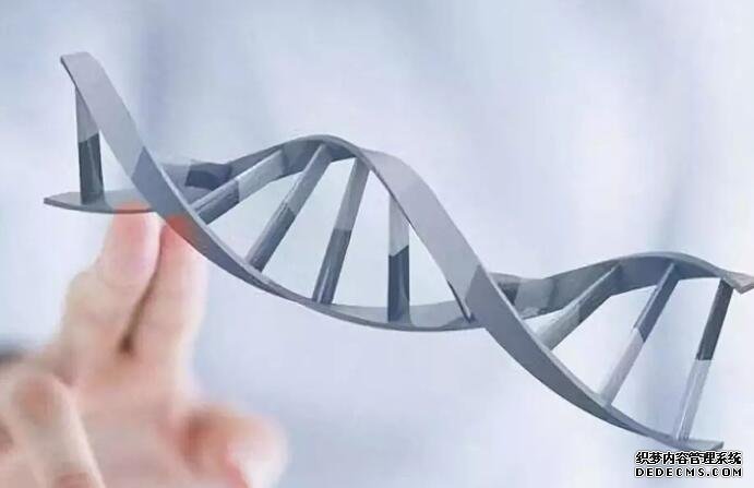 减脂吃什么最好?常吃七种食物既营养又瘦身