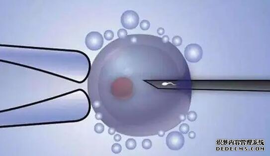 福州人卵交易捐卵 福州生男孩的试管医院可信吗? ‘孕囊4.2*3.9是男孩还是女孩’